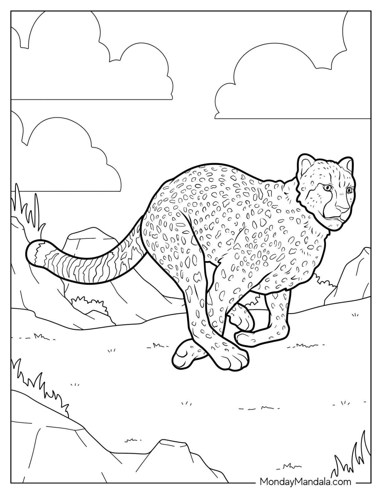 Cheetah coloring pages free pdf printables