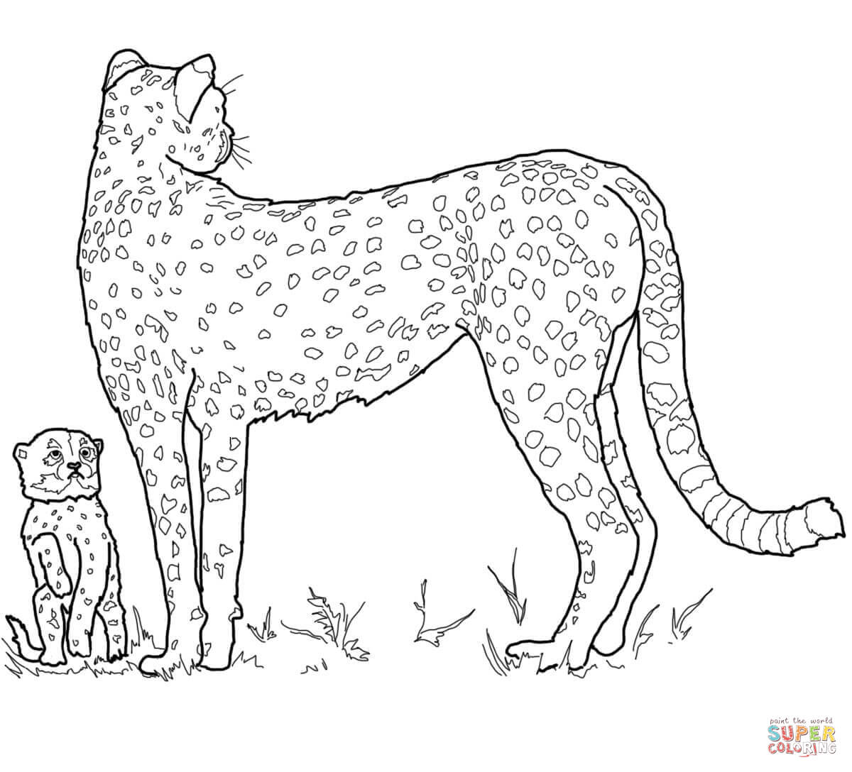 Baby cheetah and mother coloring page free printable coloring pages