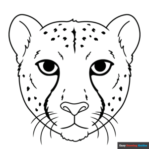 Cheetah face coloring page easy drawing guides