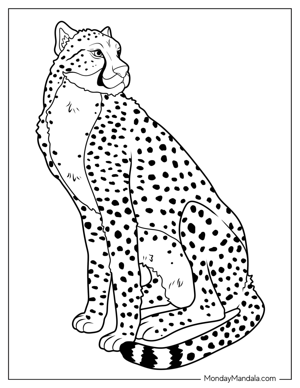 Cheetah coloring pages free pdf printables