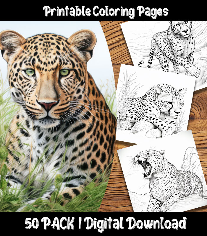 Cheetah coloring pages printable pack happy colorist