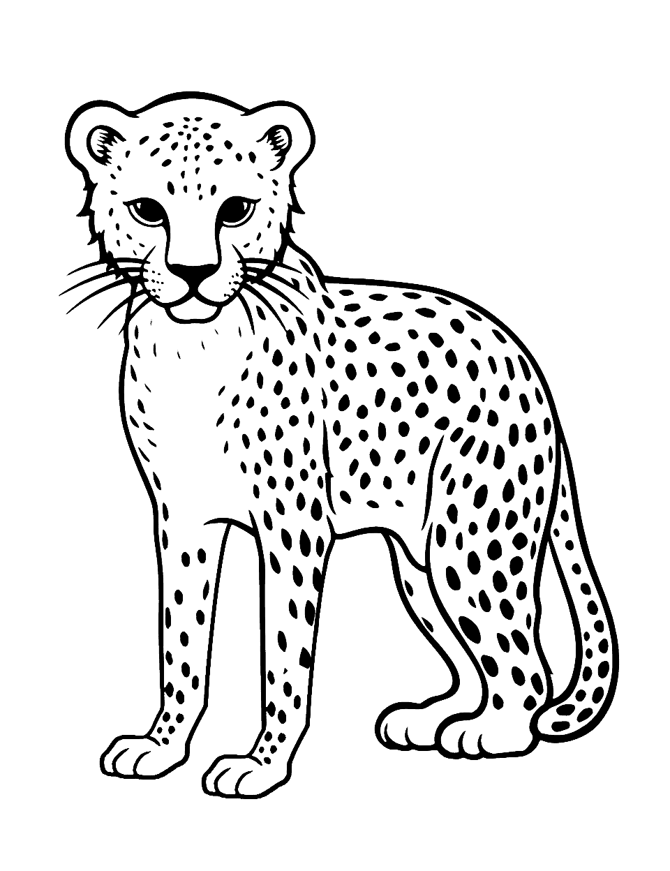 Cheetah coloring pages free printable sheets