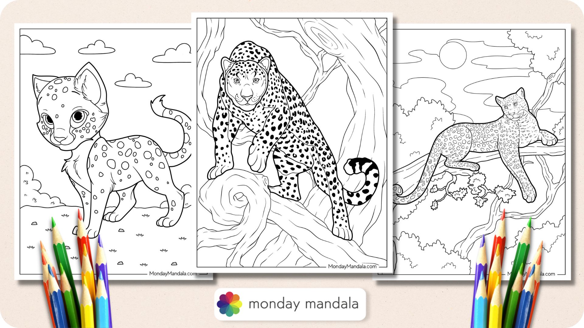 Cheetah coloring pages free pdf printables