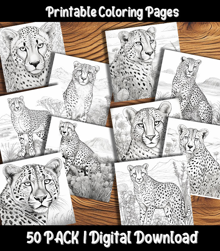 Cheetah coloring pages printable pack happy colorist