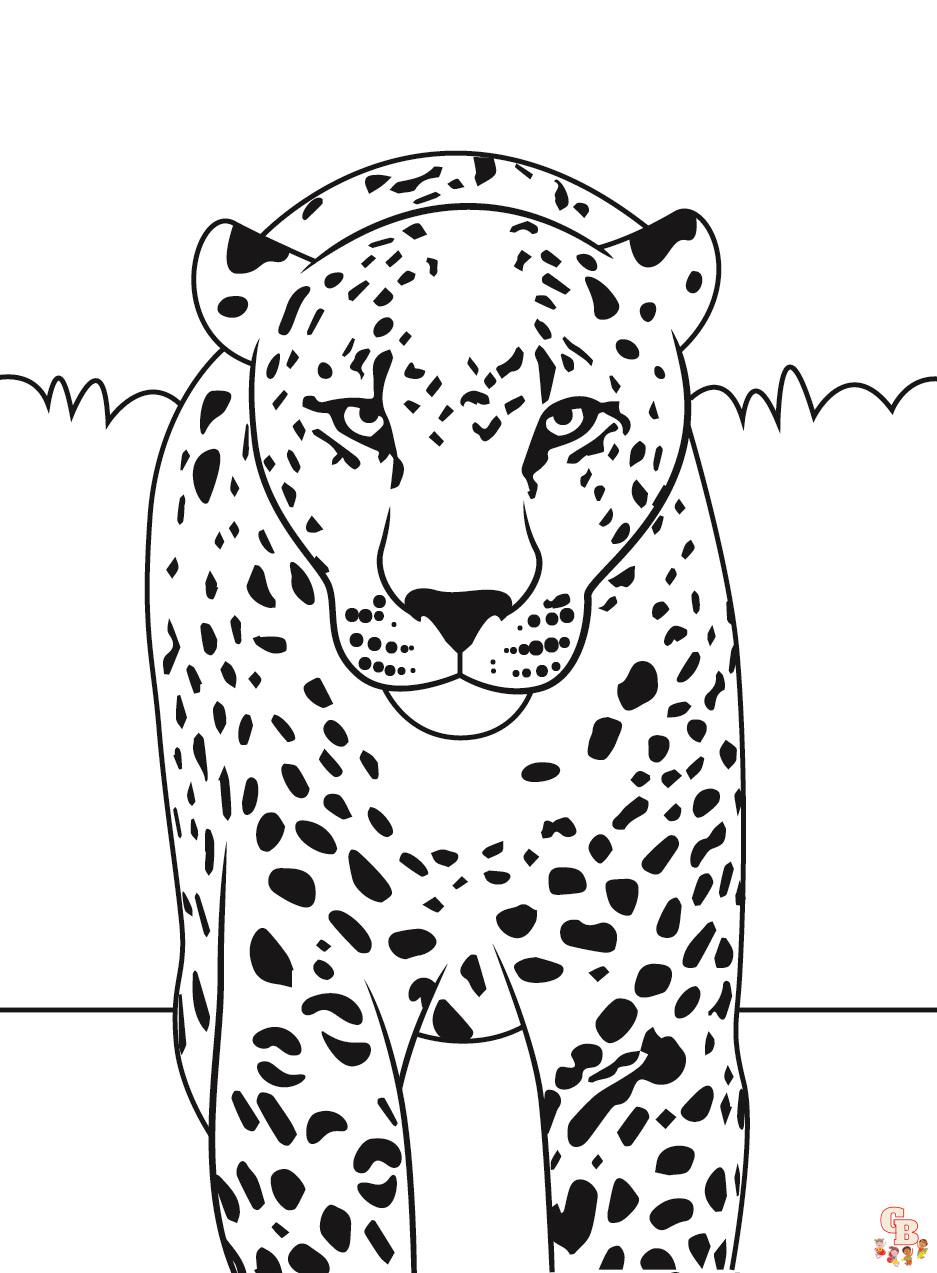 Leopard coloring pages