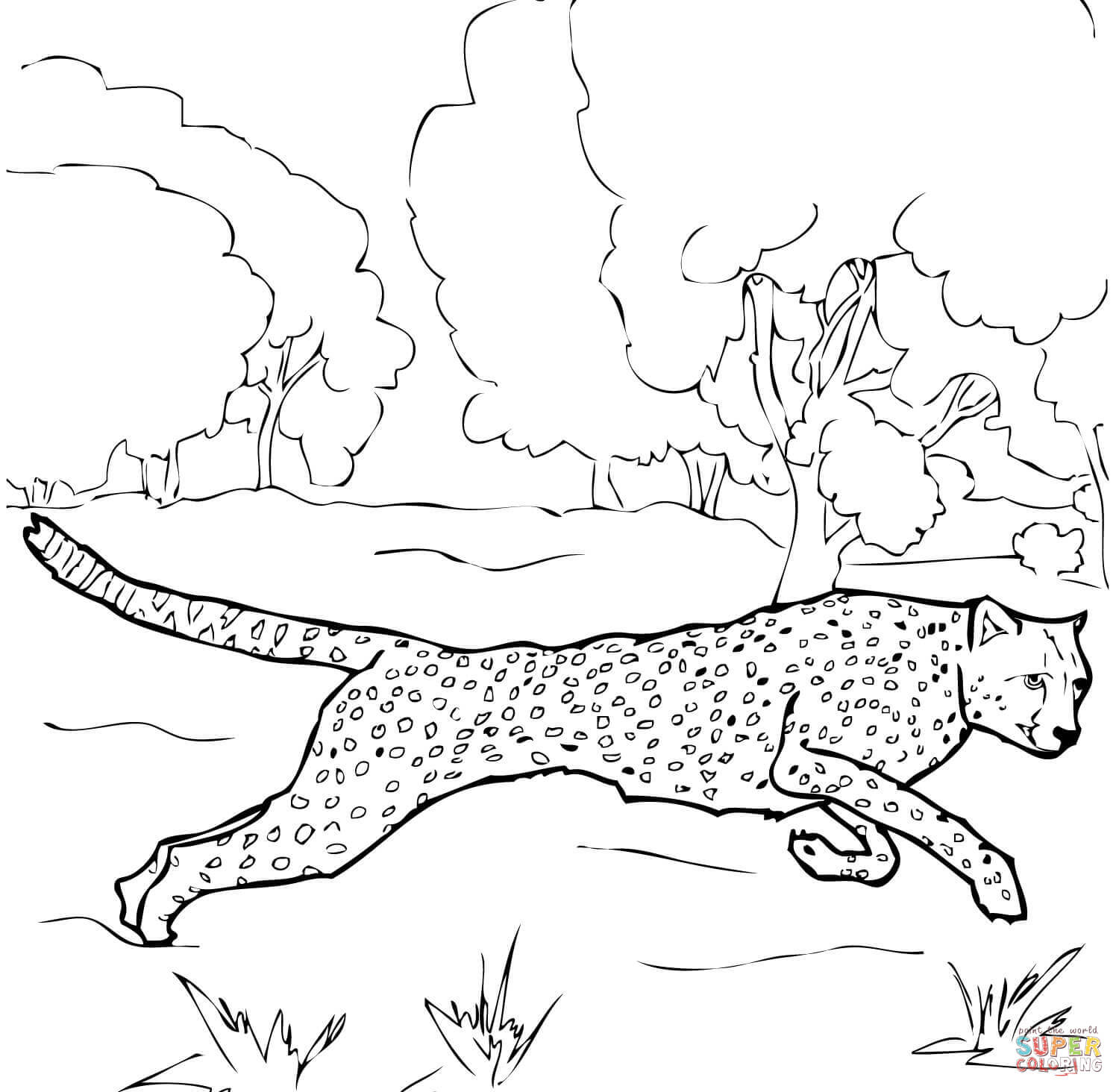 Running cheetah coloring page free printable coloring pages