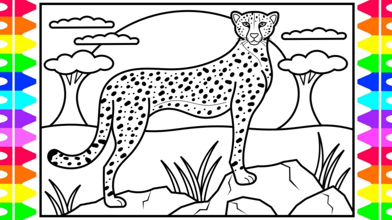 Best cheetah coloring pages for your little ones