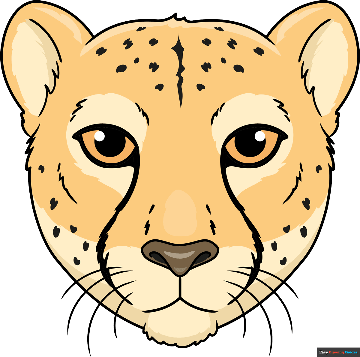 How to draw a cheetah face