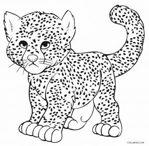 Cheetah coloring pages free coloring pages for kids baby cheetahs animal coloring pages cheetah drawing