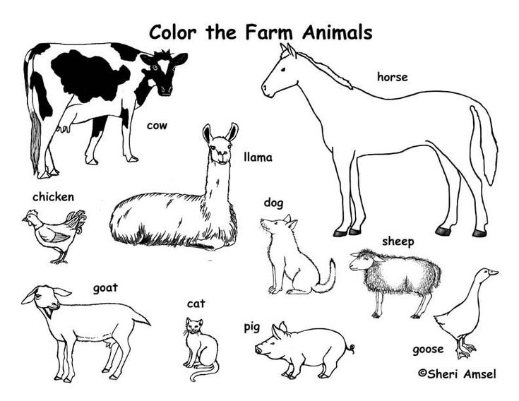 Farm animal coloring pages zoo animal coloring pages farm coloring pages