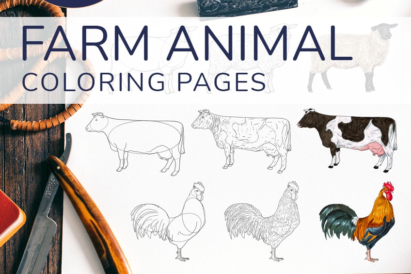 Farm animal coloring pages