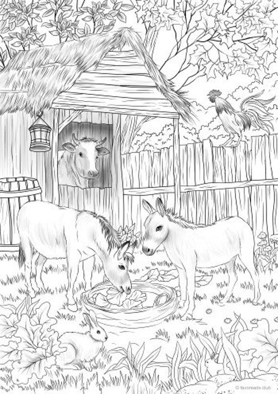 Donkeys printable adult coloring page from favoreads coloring book pages for adults and kids coloring sheets coloring designs