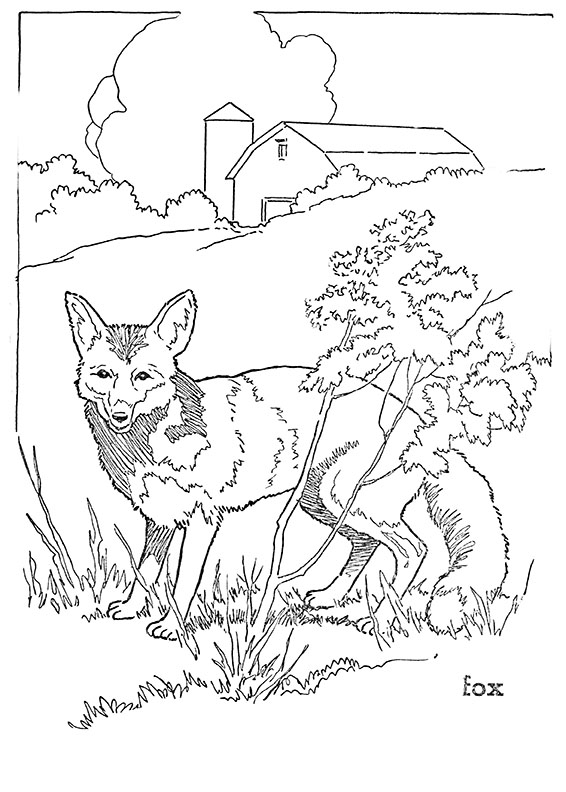 Forest animal coloring pages