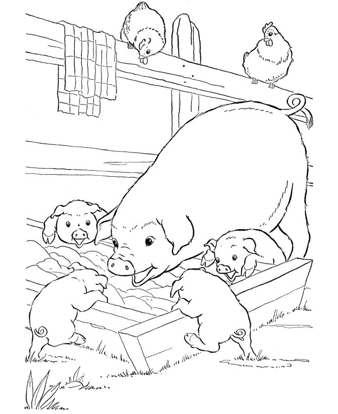 Farm animal coloring pages printable pigs slop coloring page and kids activity sheet farm animal coloring pages animal coloring pages horse coloring pages