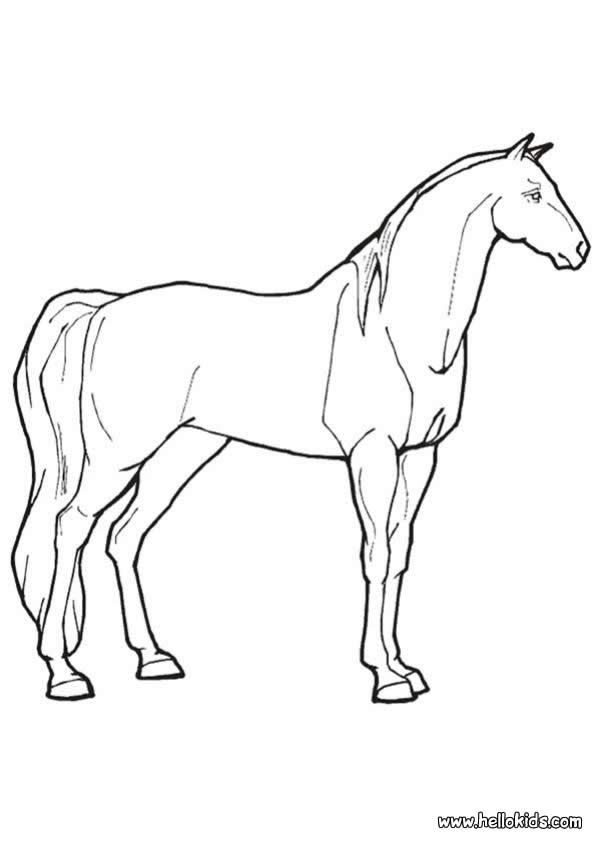 Horse coloring pages