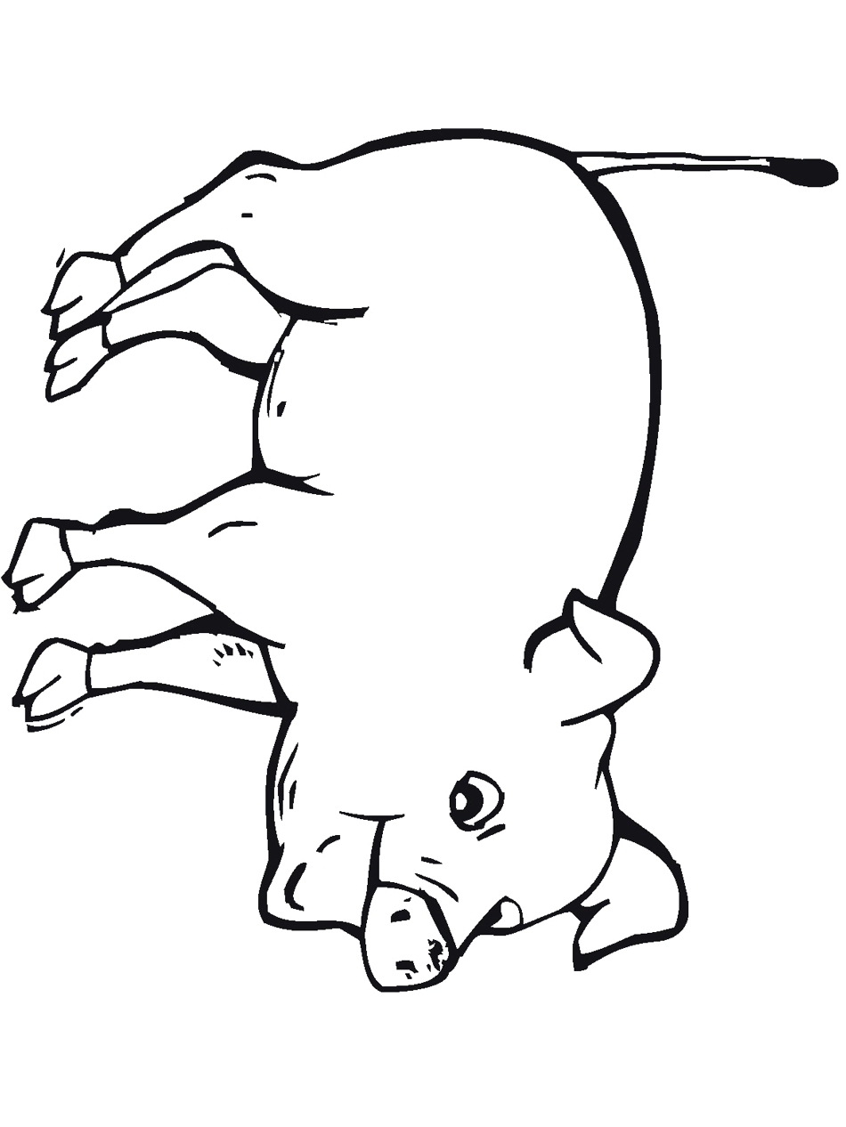 Farm animals coloring pages