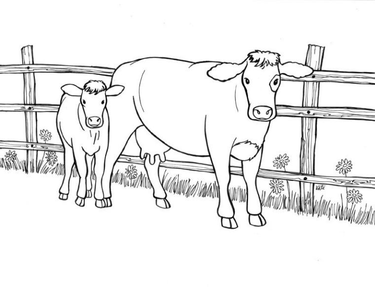 Get this realistic cow animal coloring pages cow and her calf in a farm