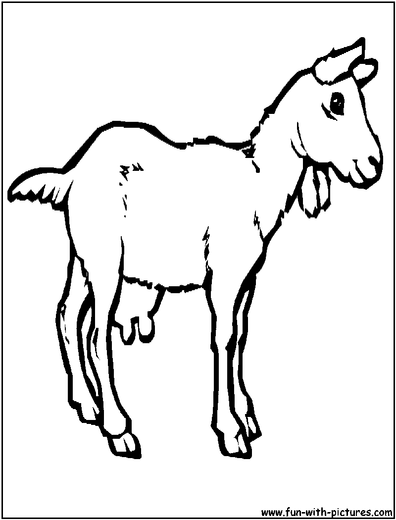 Farm animals coloring pages