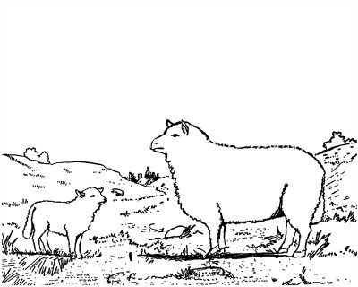 Farm animal coloring pages