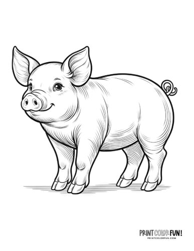 Pig clipart coloring pages go hog wild with our exclusive collection at