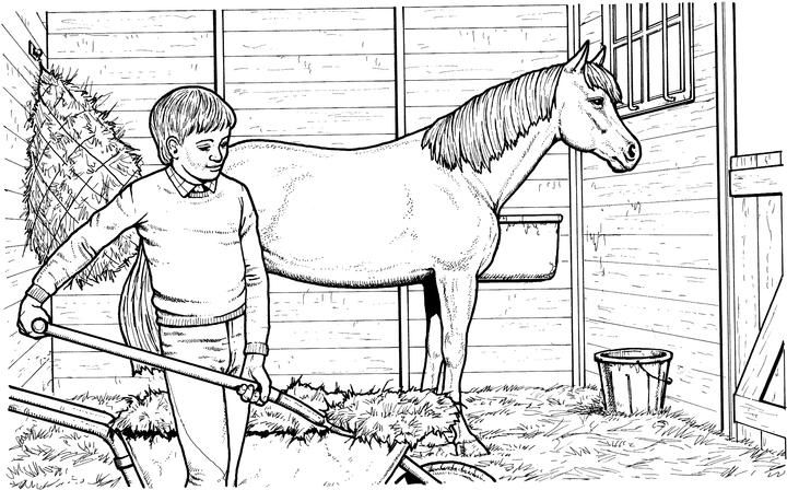 Printable coloring pages horse coloring pages horse coloring farm coloring pages