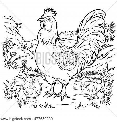 Bird farm coloring vector photo free trial bigstock