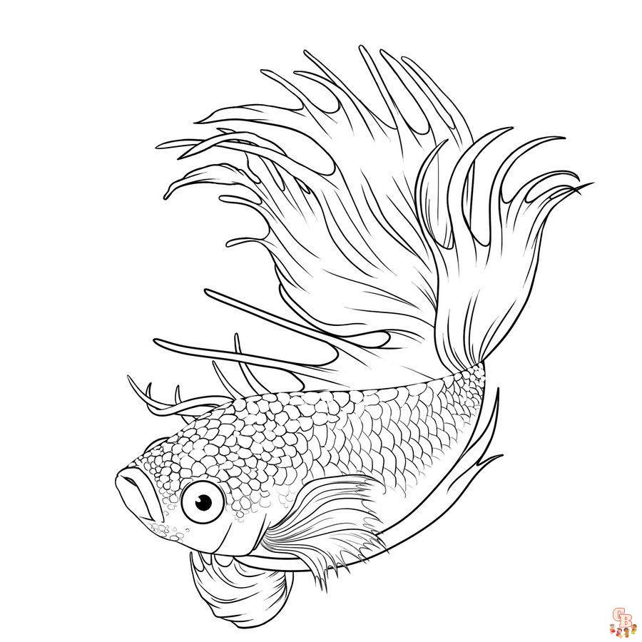 Get creative with betta fish coloring pages