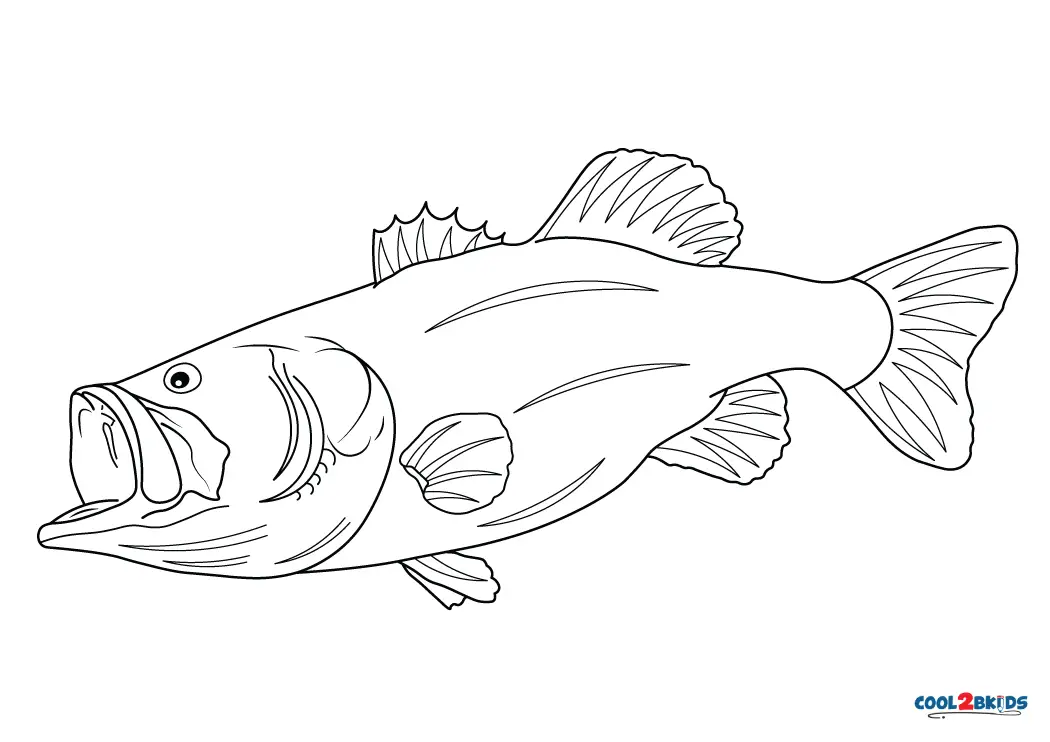 Free printable bass fish coloring pages for kids