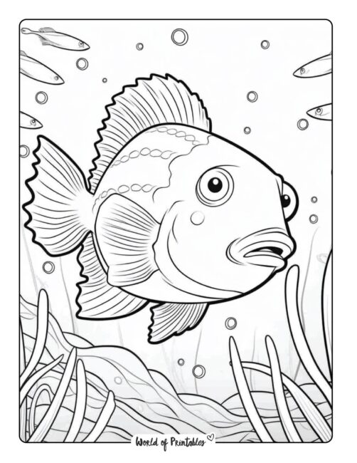 Fish coloring pages