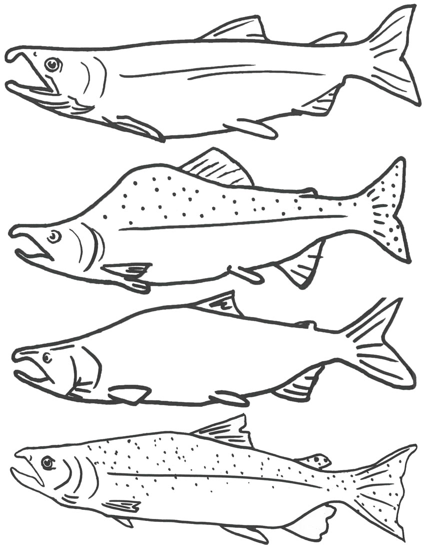 Free printable fish coloring pages for kids