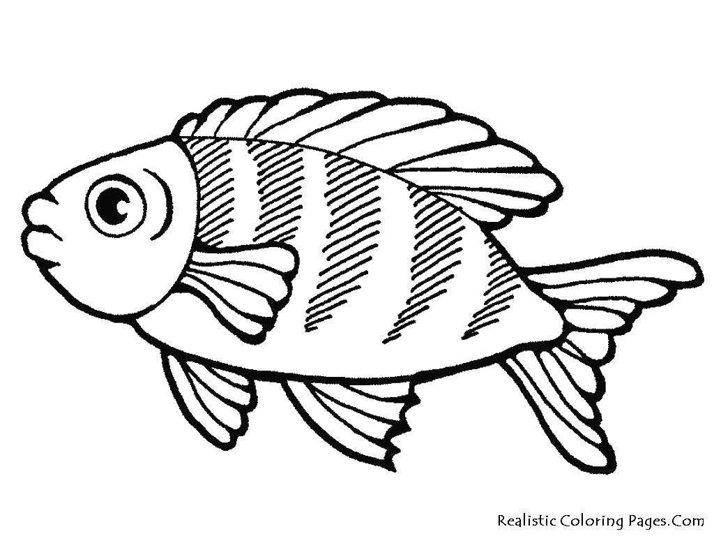 Online coloring pages coloring fish coloring