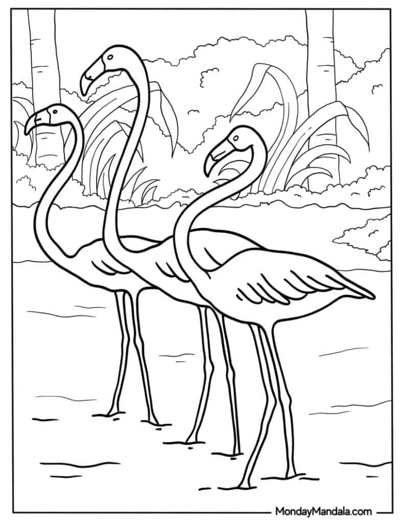 Flamingo coloring pages free pdf printables