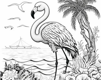 Charming flamingo coloring pages set of printable black white pdf illustrations for adults and kids