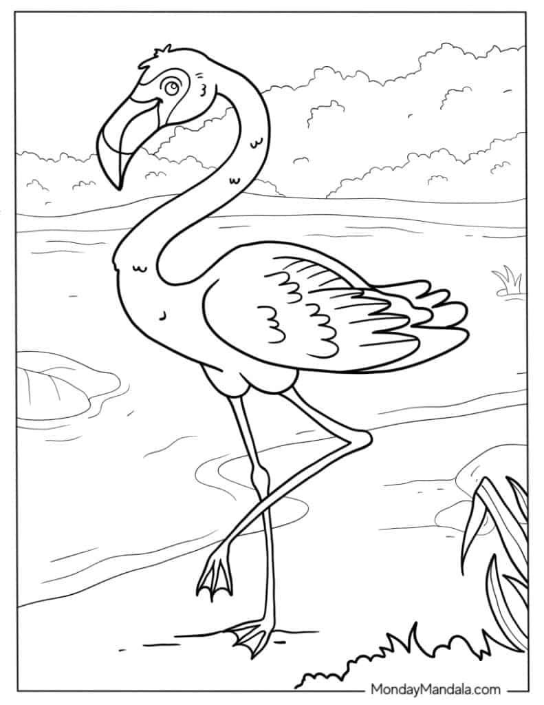 Flamingo coloring pages free pdf printables