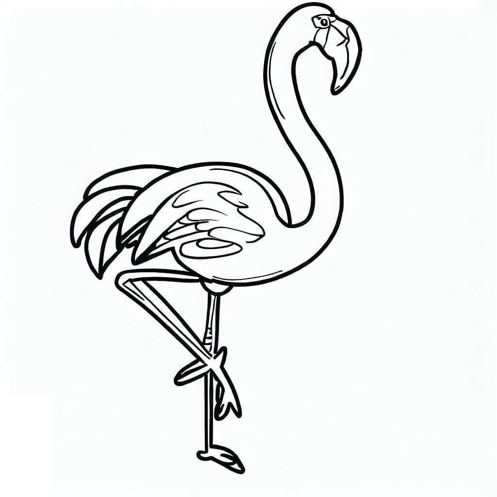 Flamingo coloring pages