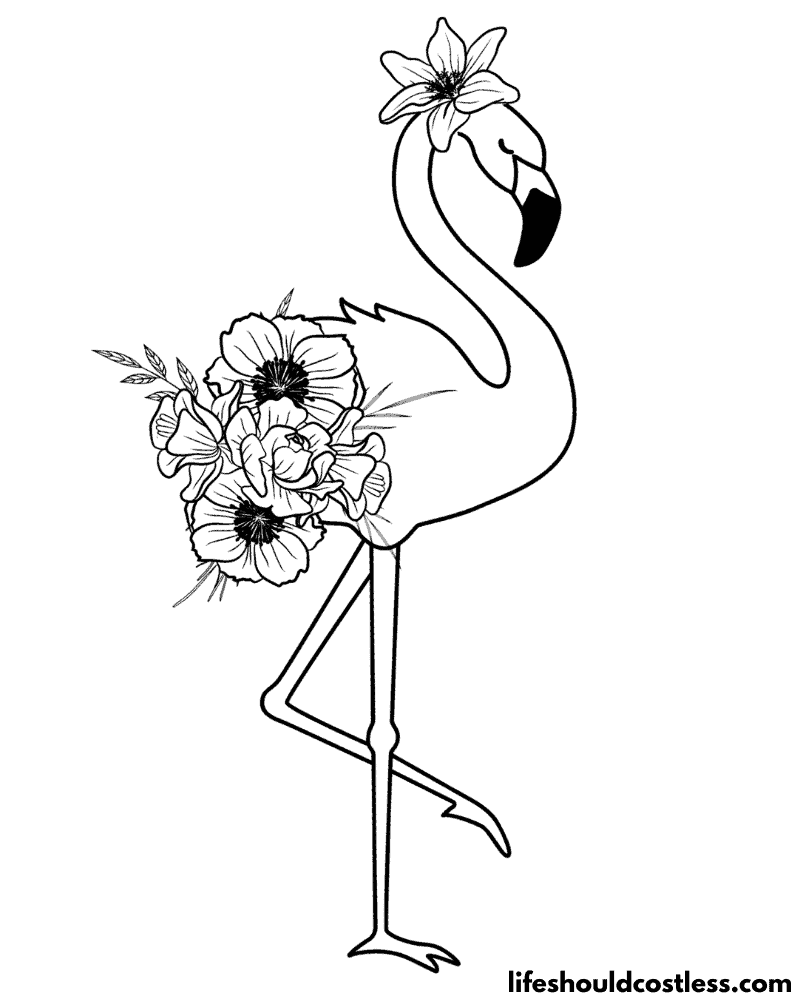 Flamingo coloring pages free printable pdf templates