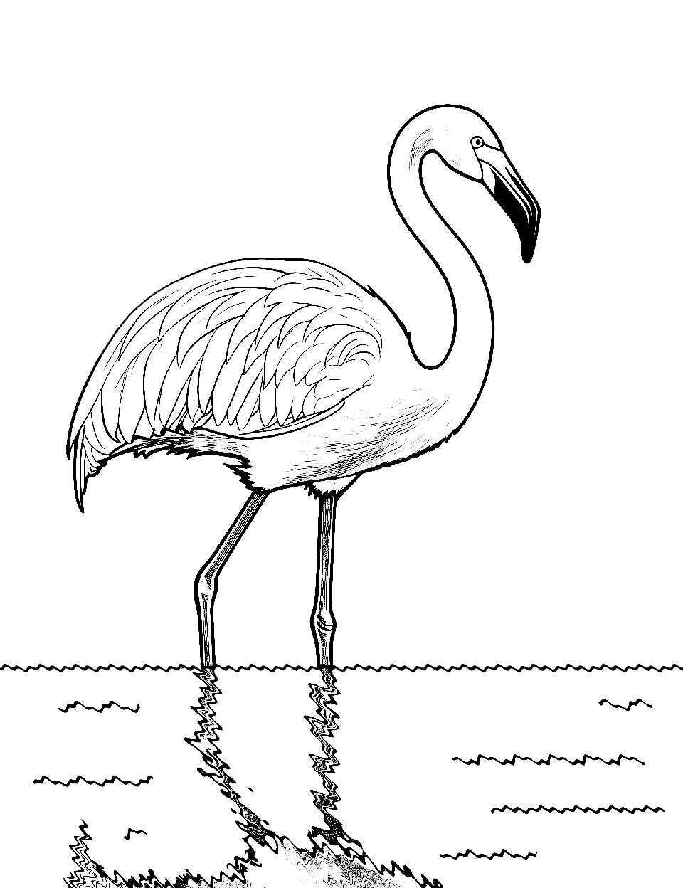 Flamingo coloring pages free printable sheets