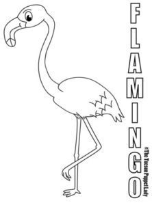 Free flamingo coloring page â the tucson puppet lady