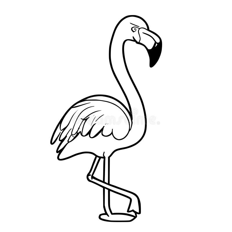 Flamingo coloring sheet stock illustrations â flamingo coloring sheet stock illustrations vectors clipart