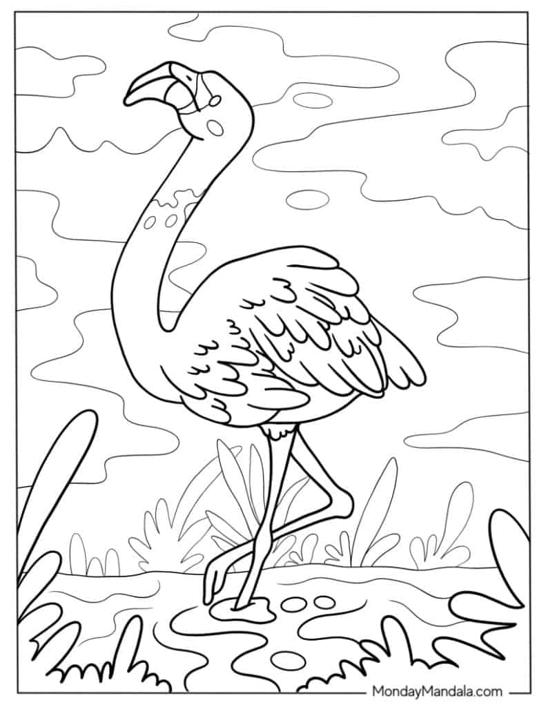 Flamingo coloring pages free pdf printables