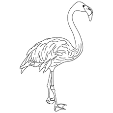 Top flamingo coloring pages for toddlers