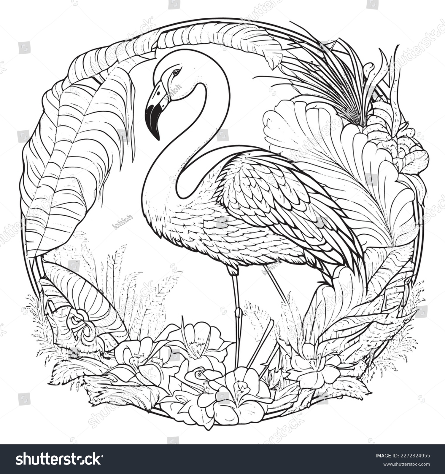 Majestic flamingo illustration stylish position adult stock vector royalty free