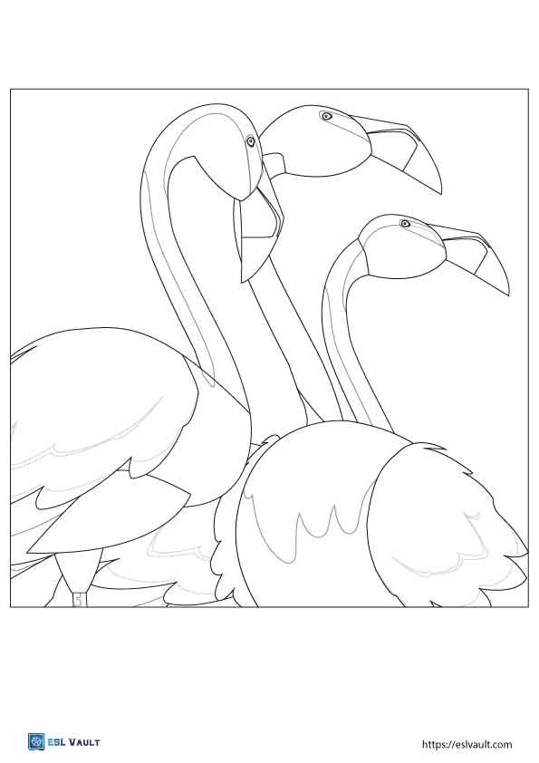 Free flamingo coloring pages