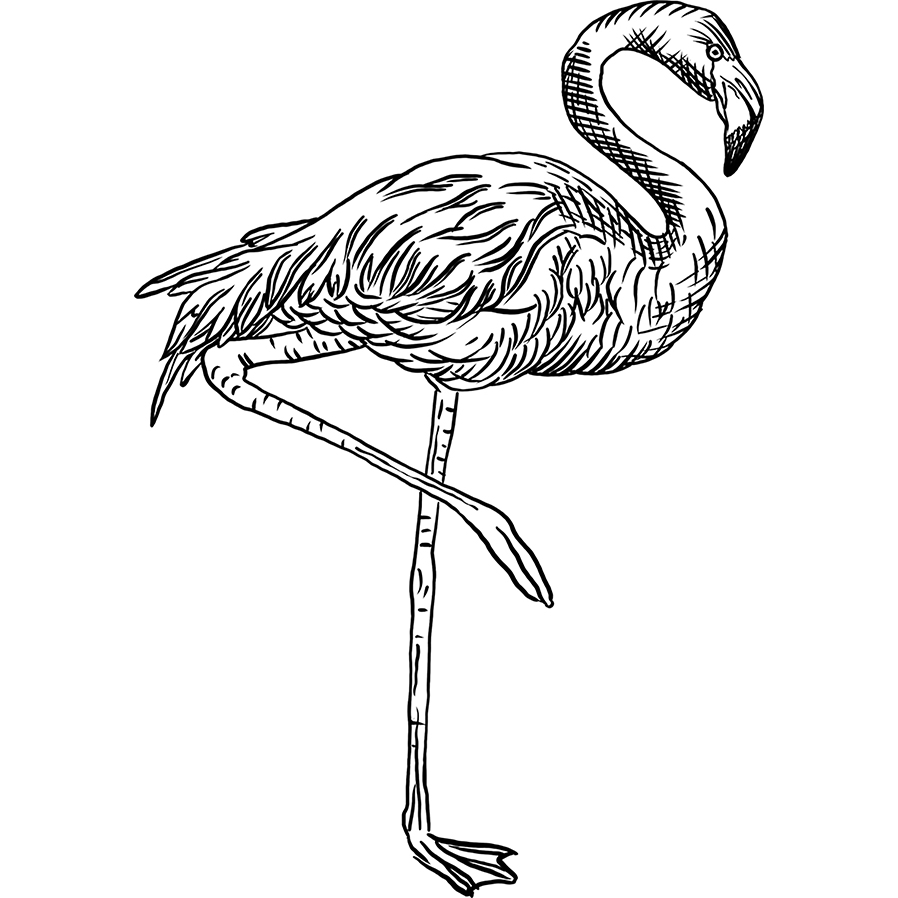 Flamingo rubber stamp from the english stamp pany