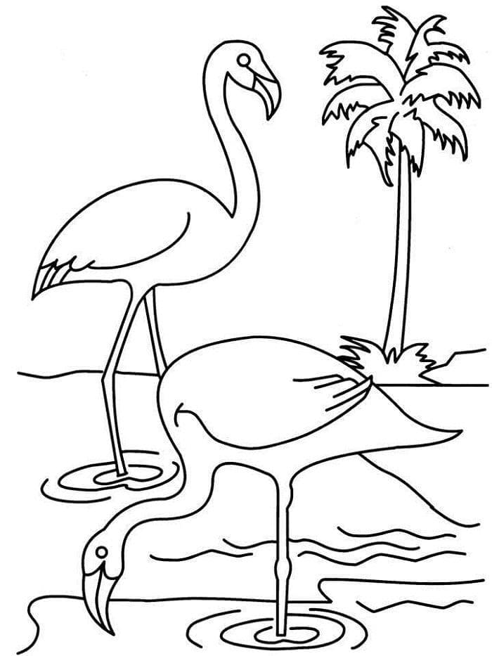 Realistic flamingos coloring page