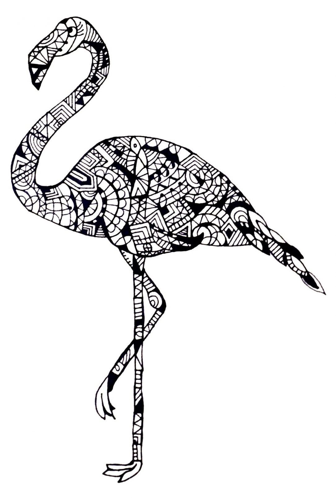 Flamingo coloring pages