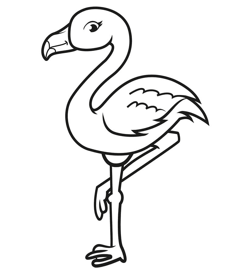 Flamingo coloring pages printable for free download