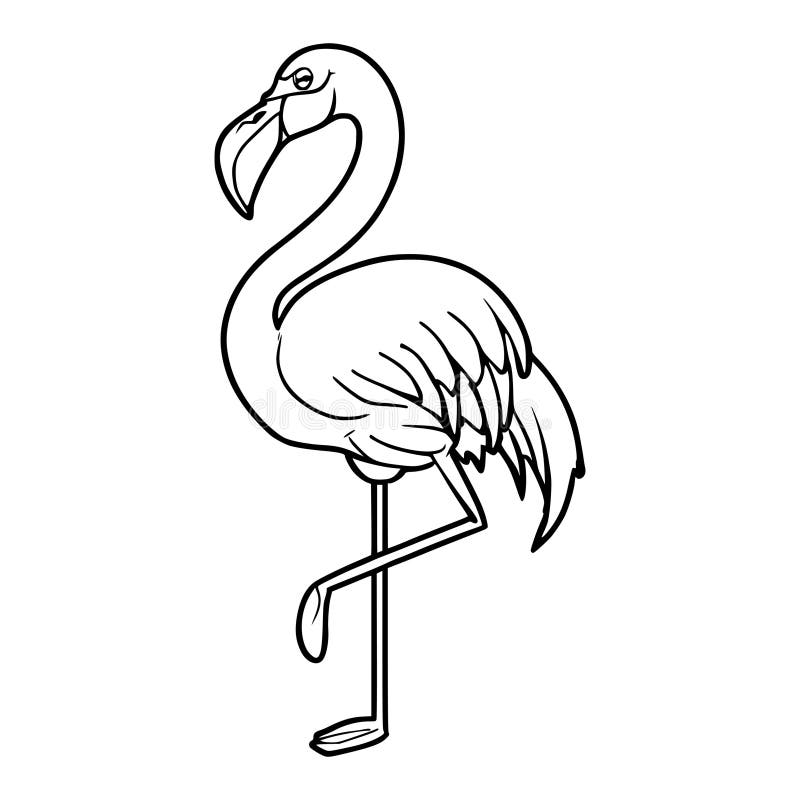 Flamingo coloring sheet stock illustrations â flamingo coloring sheet stock illustrations vectors clipart