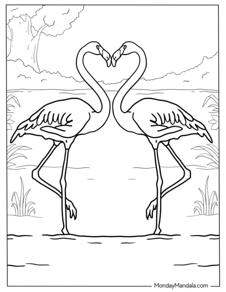 Flamingo coloring pages free pdf printables