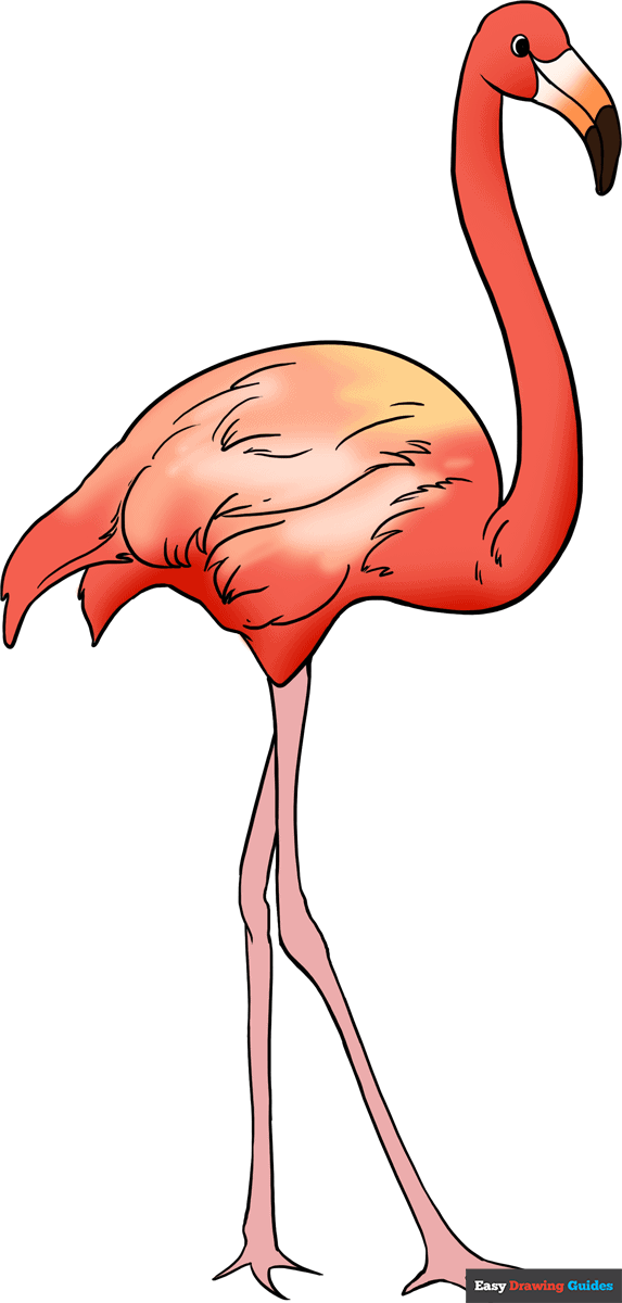 How to draw a flamingo